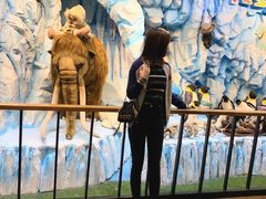 -济州岛泰迪熊博物馆