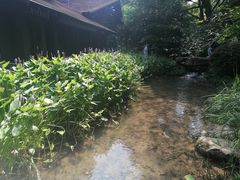 -中国茶叶博物馆(双峰馆区)