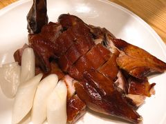 -滇铺子·云南特色菜·第九届野生菌美食节(东风东路c86店)