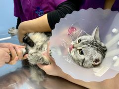 -北京博爱动物医院有限公司