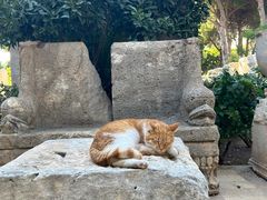 -安塔利亚博物馆