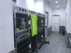 -萌兽医馆·绝育·24小时内科·宠物医院(德胜店)
