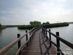 -西青郊野公园