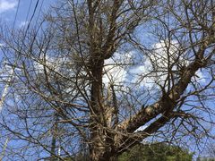 景点-藏龙百瀑风景区