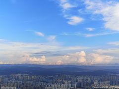 -长虫山生态公园风景林