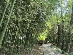 -兰亭风景区