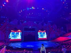 -珠海横琴长隆《卡卡虎奇遇记》