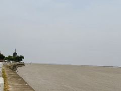 -观潮胜地公园