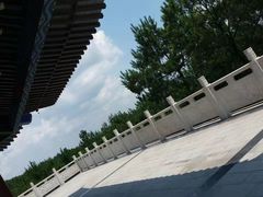 -铁山坪森林公园