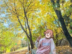 -北京鹫峰国家森林公园