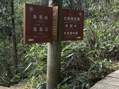 -五泄景区