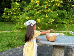 -深圳国际园林花卉博览园