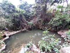 -广州市白云山风景名胜区