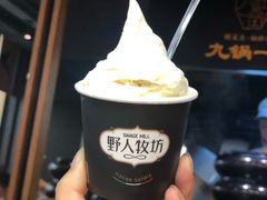 香草牛乳-野人先生现做冰淇淋(西安赛格店)
