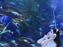 -重庆欢乐海底世界