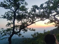 -紫金山山顶公园