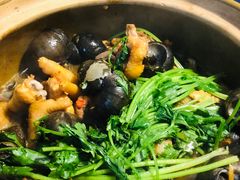 -食爺炭炉鸡煲·烧烤