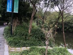 -西溪国家湿地公园