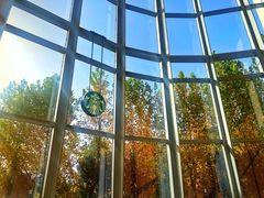 店内环境-星巴克(北辰西路店)