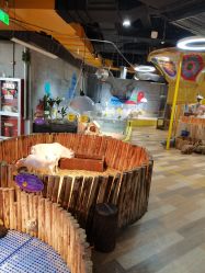 -七巧国萌宠乐园(龙湖天街店)