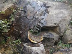 -黑龙潭风景区