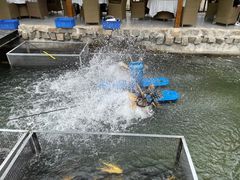 -京北渔家傲