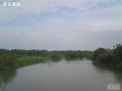 -大湾区中央湿地公园