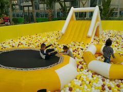 -南宫五洲植物乐园