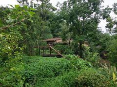 -杭州开元森泊度假乐园