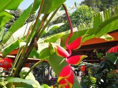 -侯臣咖啡文化村