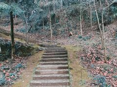 -上海佘山国家森林公园天马山园