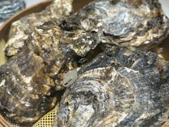 -杨氏青龙虾·羊蝎子(金盛路总店)