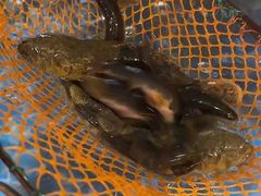 -周记老沈阳焦火鸡架