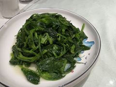 -银生食府·普洱菜(金星店)