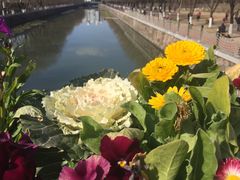 -大宁灵石公园西门票处