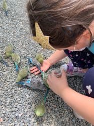 -萌宠亲子动物乐园(槐房万达店)