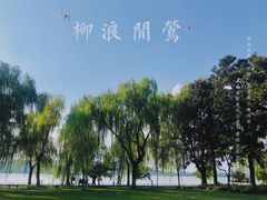 -柳浪闻莺公园