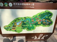 -西双版纳原始森林公园