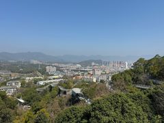 -福道