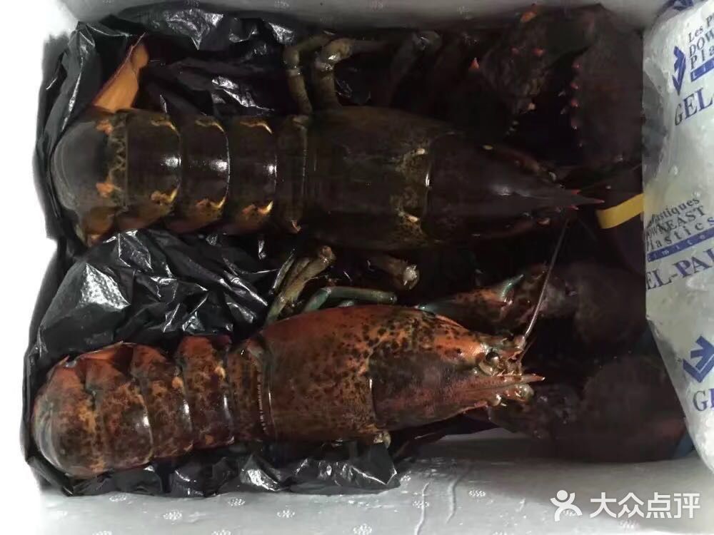 跟我一起学做菜～清蒸波士顿大龙虾🦞