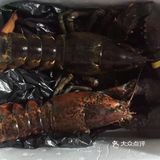 跟我一起学做菜～清蒸波士顿大龙虾🦞
