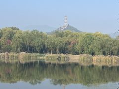 -北坞公园