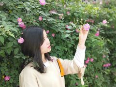 -百林公园-两江幸福广场