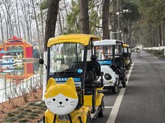 -合肥滨湖国家森林公园