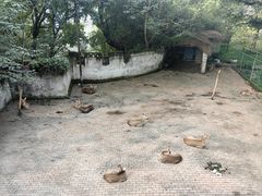 -台州府城(江南长城)