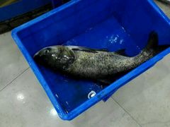 -雪野鱼头大王邢府公老店(雪野湖店)