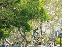 -北山街历史文化街区