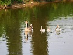 -长白岛森林公园