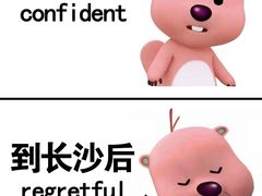 -湖南广电中心大楼