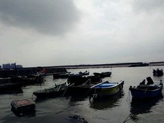 -石头会唱歌融来+北港岚台两岸交流中心